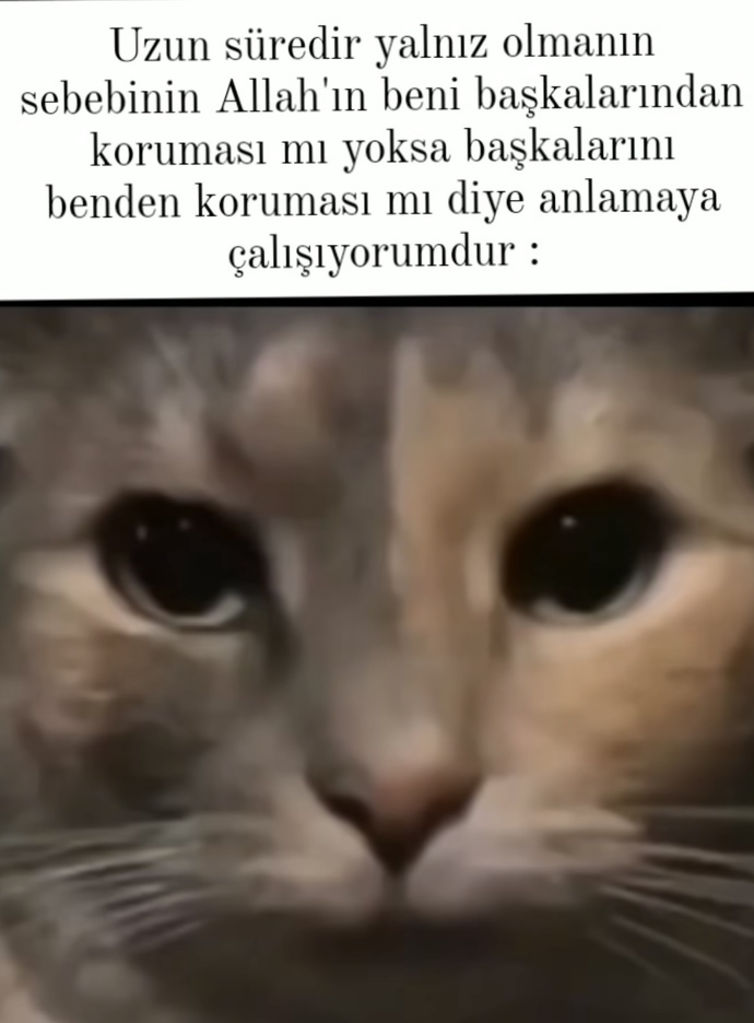 Uzun Süredir Yalnız Olmanın Sebebi Ne?