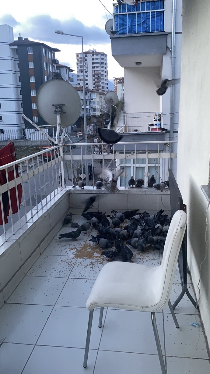 Bayram harçlıkları verildi mi alan oldu mu?