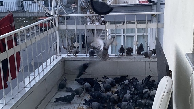 Bayram harçlıkları verildi mi alan oldu mu?