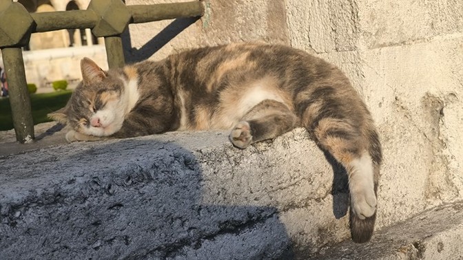 Dışarıda çok vakit geçirip eve gelince böyle oluyor musunuz:)) ?