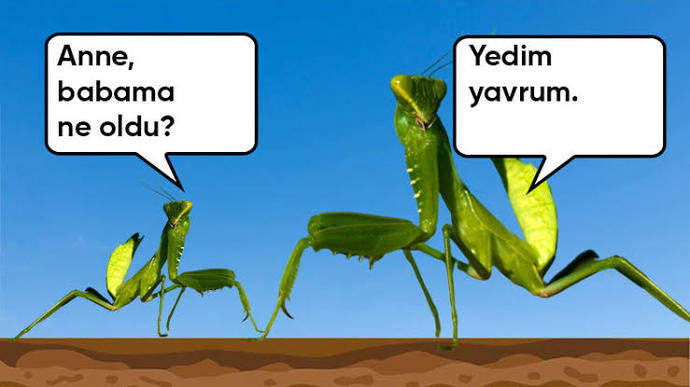 Ataerkillik ve anaerkillik arasında denge kurulabilir mi?