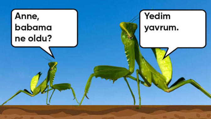 Ataerkillik ve anaerkillik arasında denge kurulabilir mi?