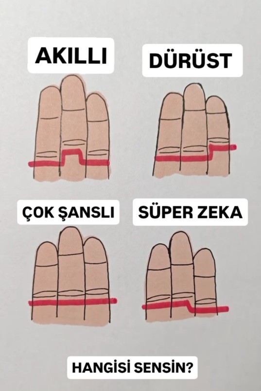 Hangisi sizsiniz?