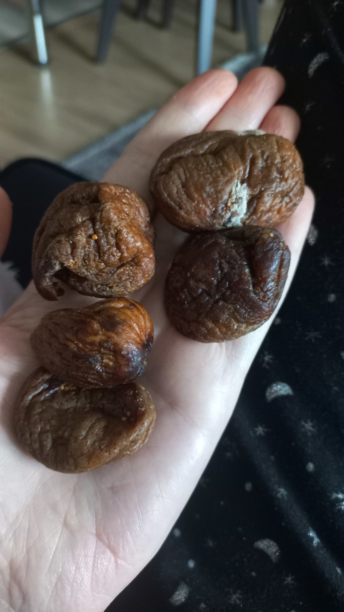Bu incir kurusu normal mı?