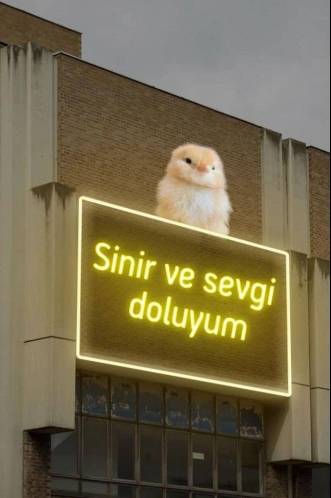 Telefona kahve döküldü canımı sıktı😒😡