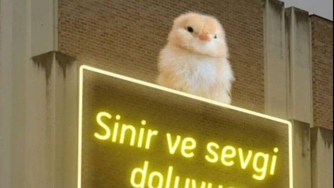 Keyifler nasıl KS halkı?