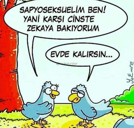 Karşı cinste Sizi cezbeden ve soğutan durumlara birer örnek verebilir misiniz?