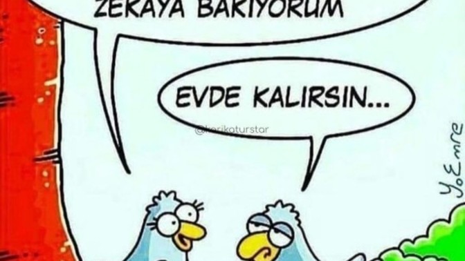 Karşı cinste Sizi cezbeden ve soğutan durumlara birer örnek verebilir misiniz?