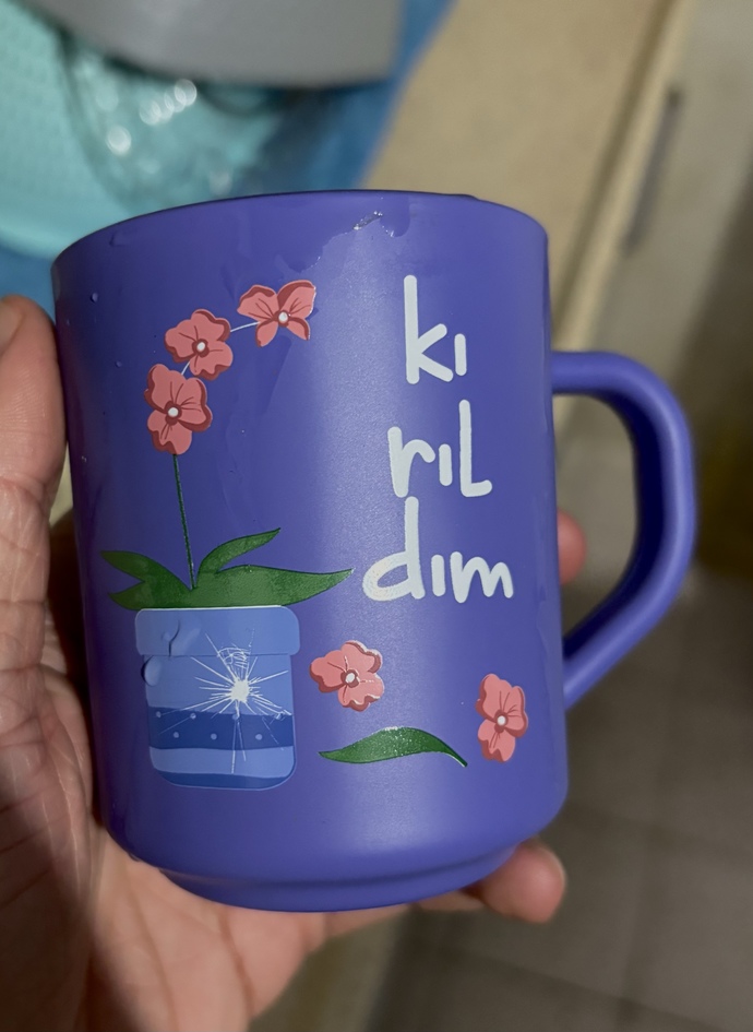 Bu bardağı aldım diye annem benle dalga geçiyo nolmuski bardağıma?