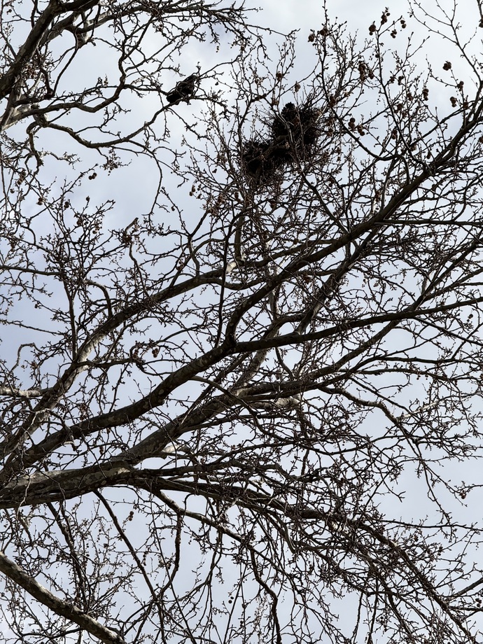 Sizce çektiğim manzara fotoğrafları nasıl?