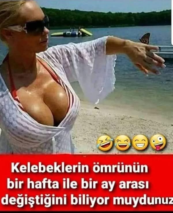 Kelebeklerin ömrü bir günden fazla olduğunu biliyor muydunuz?