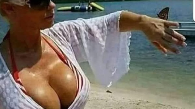 Kelebeklerin ömrü bir günden fazla olduğunu biliyor muydunuz?