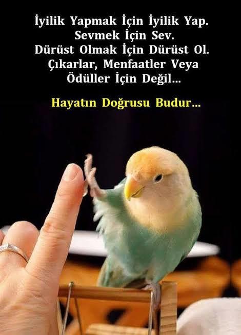 İyilik yapmak kötülük yapmaktan daha mı zor?