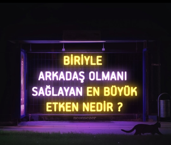 Biriyle arkadaş olmanı sağlayan en büyük etken nedir?