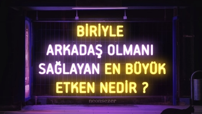 Biriyle arkadaş olmanı sağlayan en büyük etken nedir?