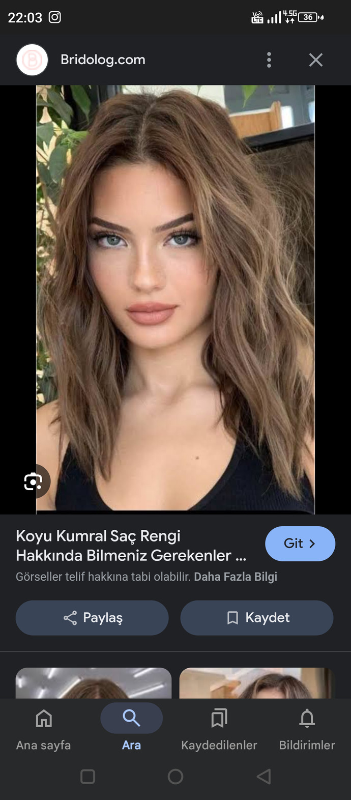 Saç boyası rengini bilemiyorum yardım bu renk hangisi olur?