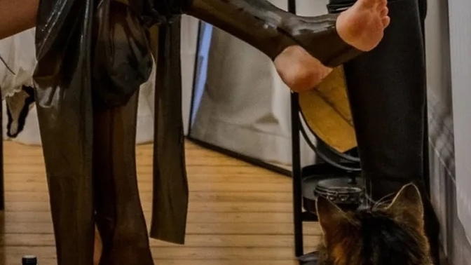 LaTeX tulumla arkadaş davetine gitmek niyetim sizce güzel olur mu?