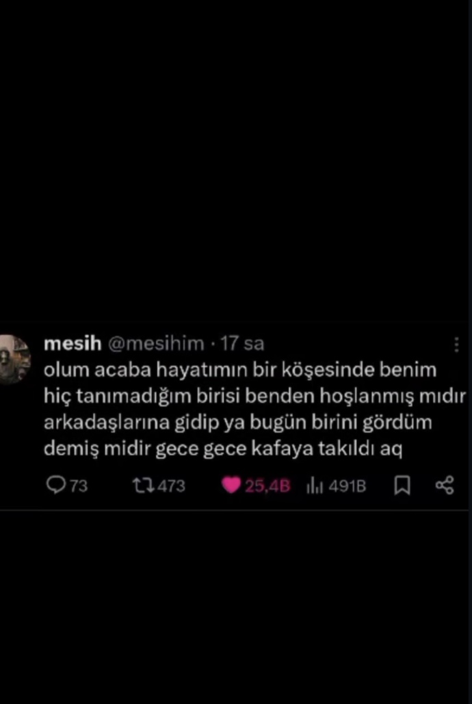Ama cidden merak ettim
