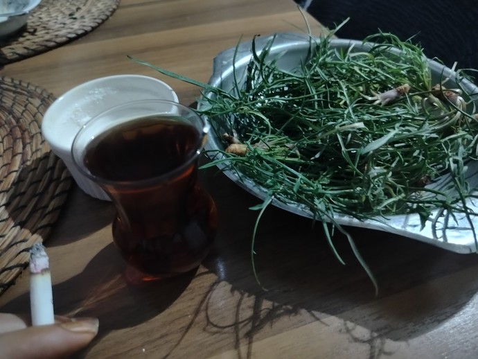 Dinleyince kendimden geçiyorum, masayı kaldırıp paramparça edesim geliyor dediğiniz şarkı var mı?