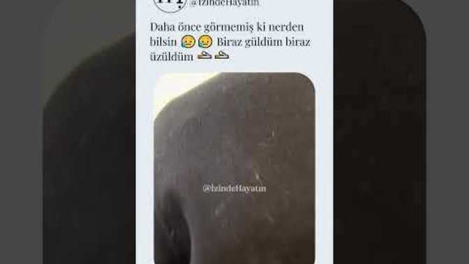 Sevgilinize çiçek aldınız mı hiç?