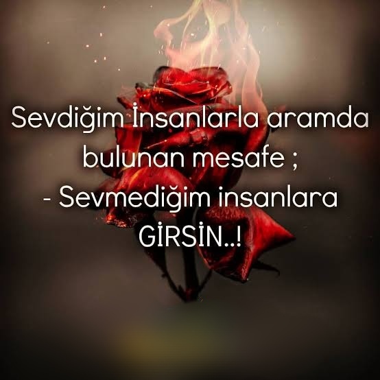 Sevdiğiniz için en uzak ne kadar mesafe gidersiniz?
