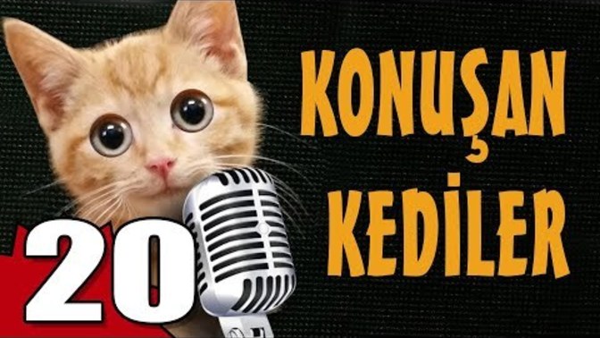 Konuşan Kediler 20 KızlarSoruyor Bugün de Biraz Gülelim mi?