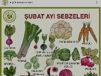 Akşam yemeği menünde neler var?