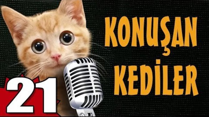Konuşan Kediler 21 KızlarSoruyor Bugün de Biraz Gülelim mi?