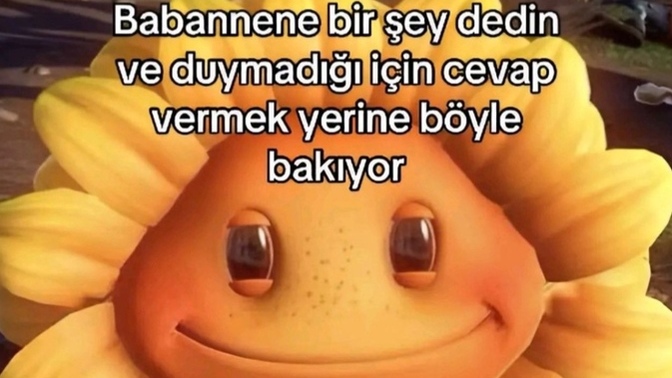 Bazen babaanne olmak istersin 😊şu resme çok güldüm emojesi çıksa keşke 😂 her söyleneni hür dikkat dinler misinizzzz?