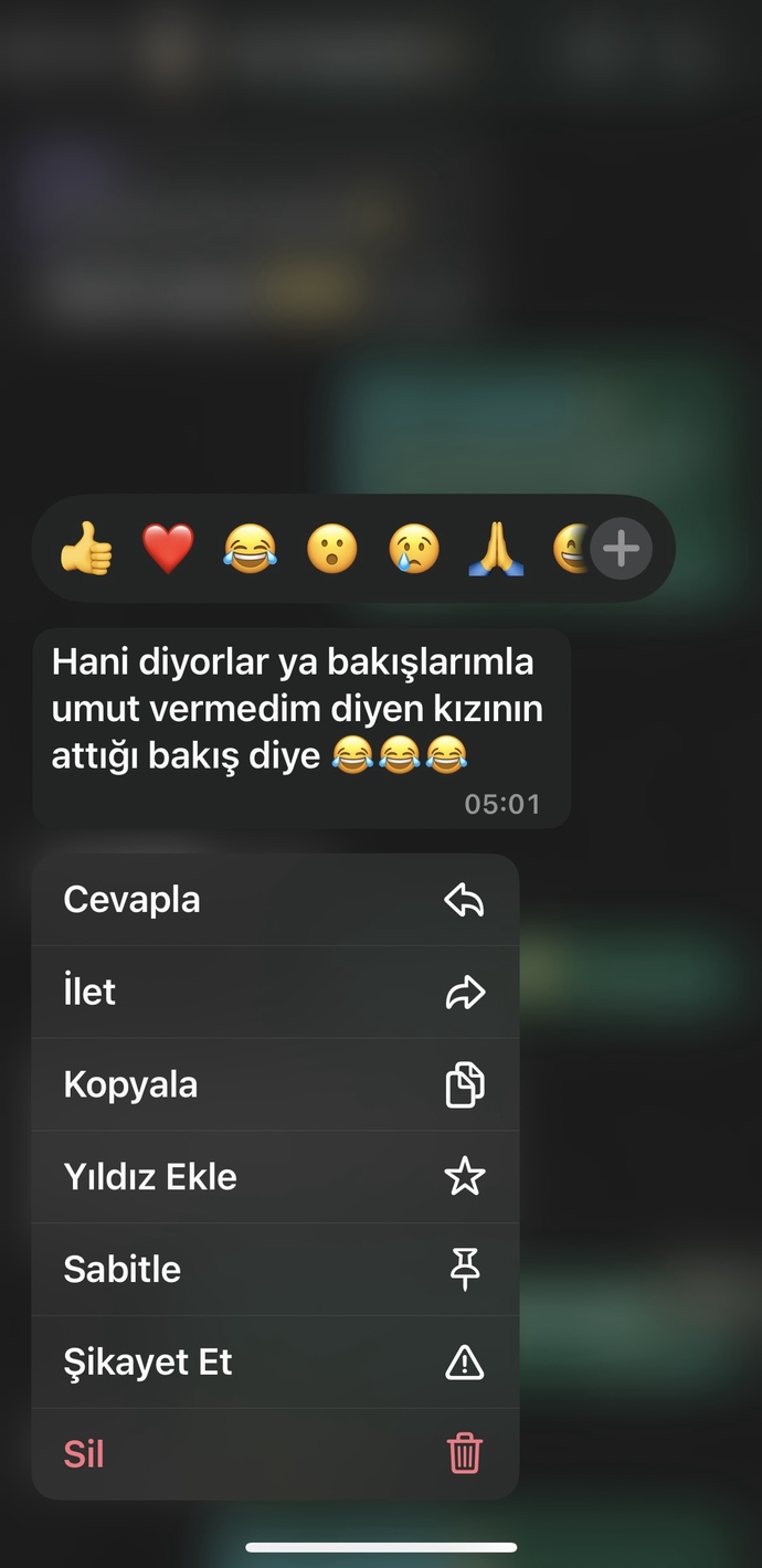 Birine iltifat edecek olsanız ona ne demek isterdiniz?