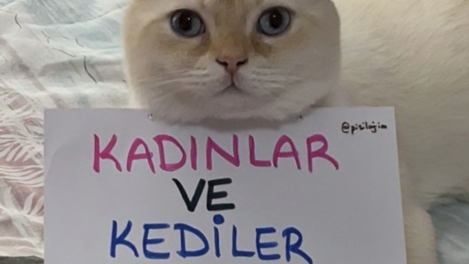 Görsel çok sevimli ama haklı değil mi?