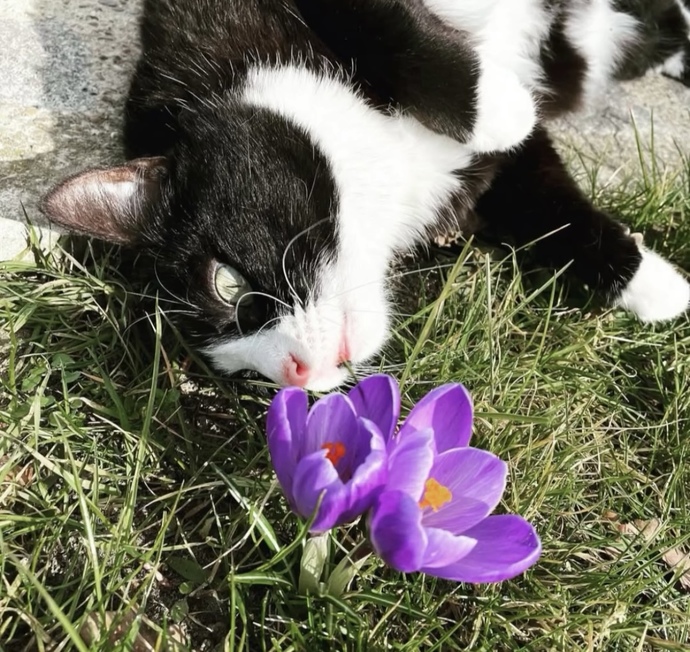 Günaydınlar 🌺🌱 ☕️ uyandınız mı?