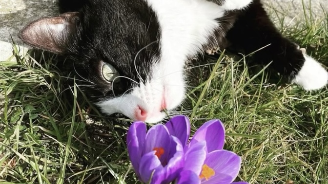 Günaydınlar 🌺🌱 ☕️ uyandınız mı?