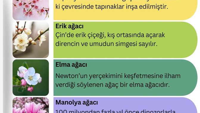 Nisan  çiçeklerin anlamlarını biliyor musun?