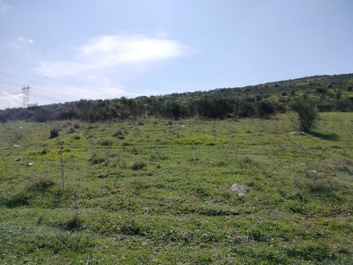 En son neyinizi açtınız?