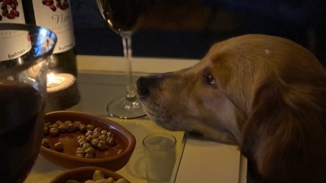 Bu akşam ne yediniz/ yiyeceksiniz?