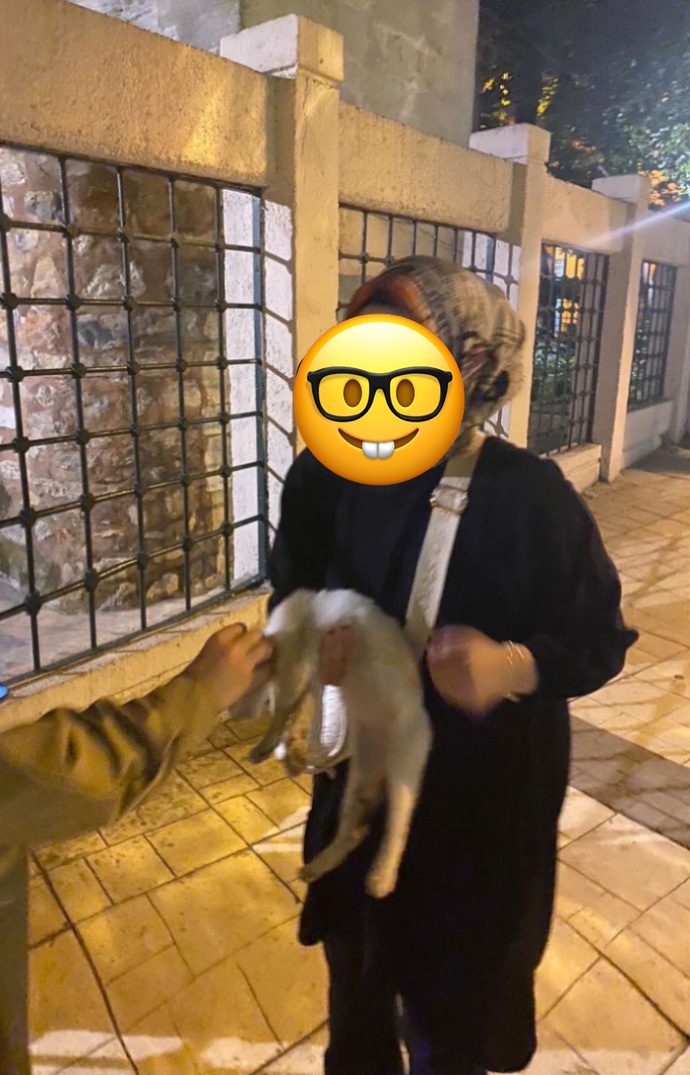 En sevdiğiniz hayvan (insan olmayanlardan)?