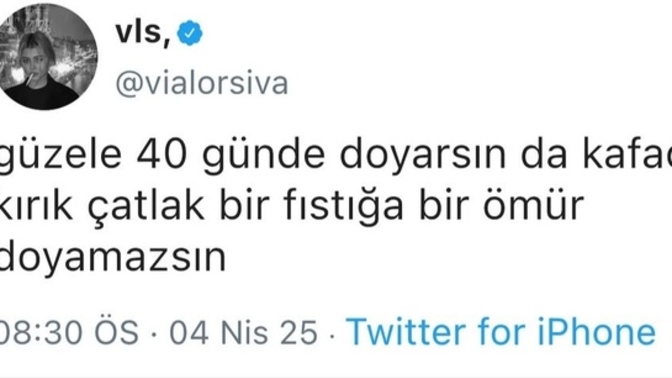 Nelere bir ömür doyamazsınız?