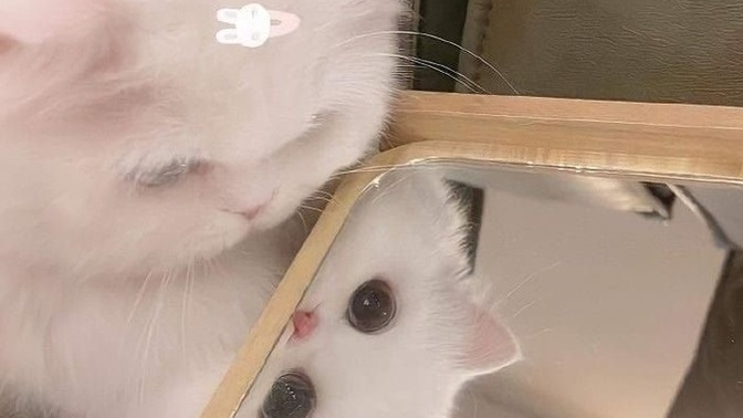 Sosyal medyada kendinizi, olduğunuz gibi yansıtır mısınız?