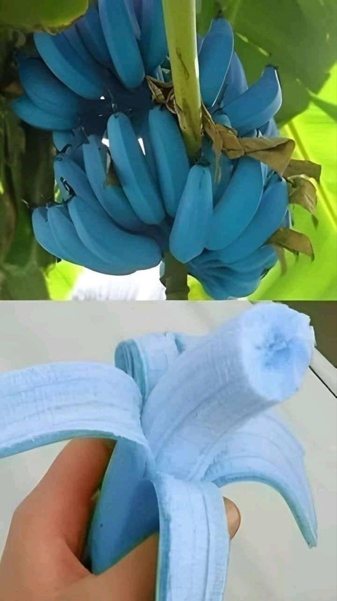 Sabah sabah olsada yesem dediğiniz şeyler var mı?