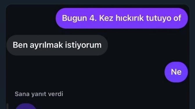 Partnerinizin şakacı ve neşeli biri olması mı, yoksa ciddi ve mesafeli biri olması mı size daha çekici gelir?