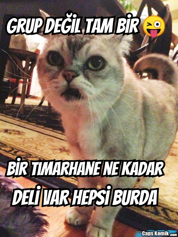 Uzun zamandır nasıl olduğunuzu sormuyorum, nasılsınız site ahalisiiiii?