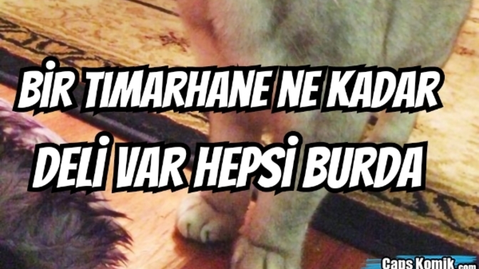 Uzun zamandır nasıl olduğunuzu sormuyorum, nasılsınız site ahalisiiiii?
