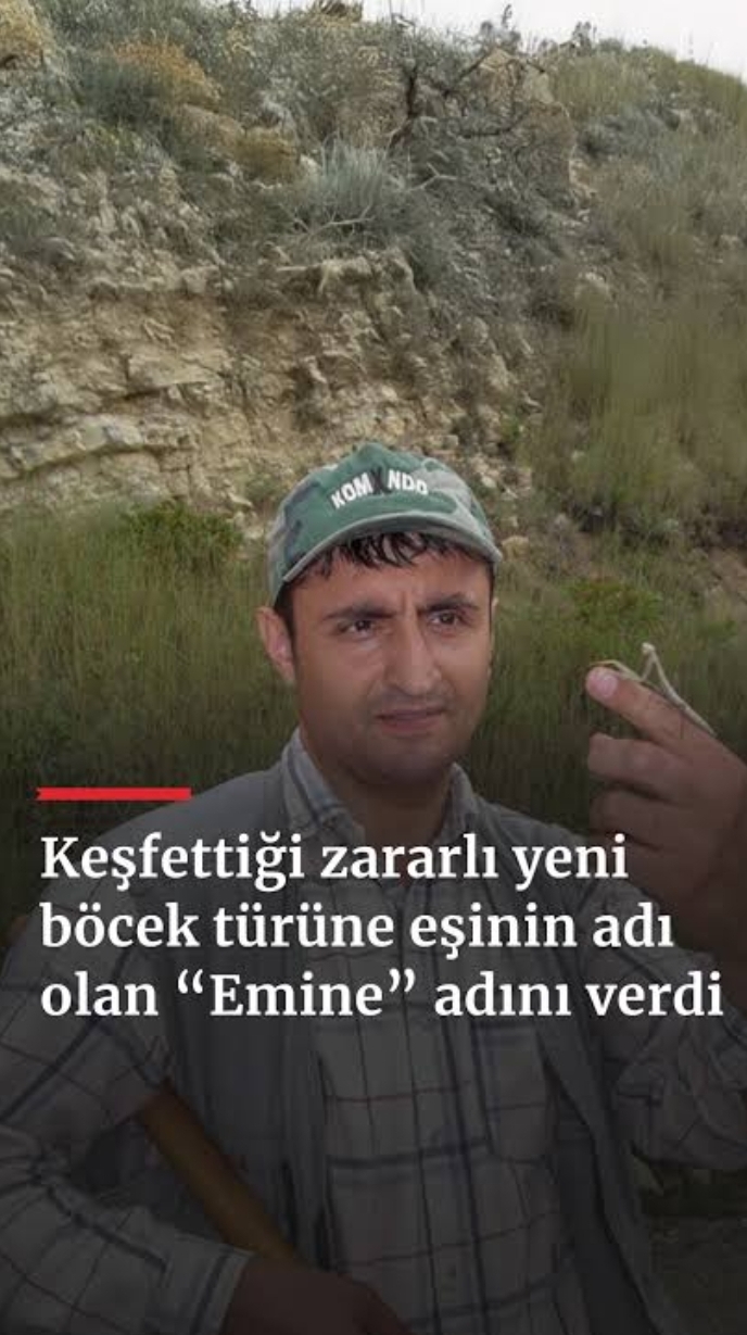 Yeni bir tür keşfetseniz ismini ne koyarsınız?