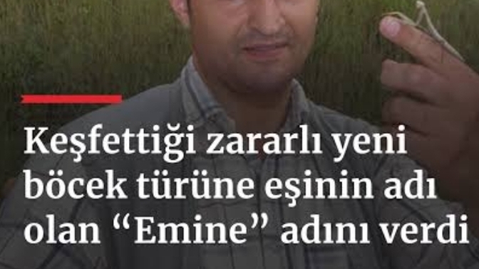 Yeni bir tür keşfetseniz ismini ne koyarsınız?