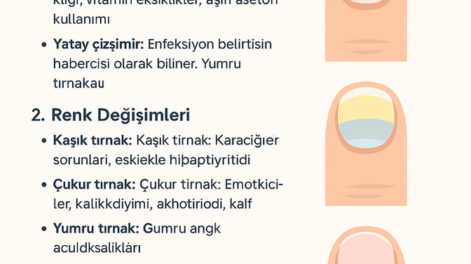 Baksam Ne olduğu Tırnağından Bile Bilirim? Siz de Tırnağınıza Baktınız mı?