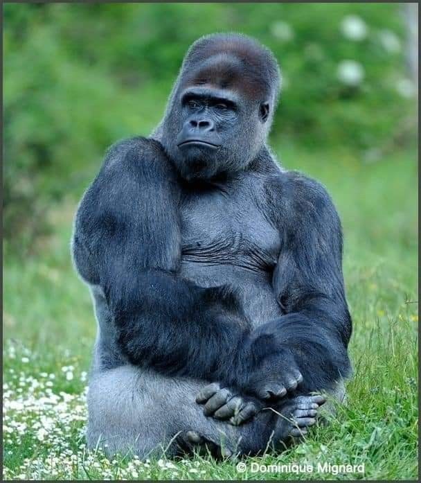 Flörtle ilk buluşmada pikniğe gidilir mi?