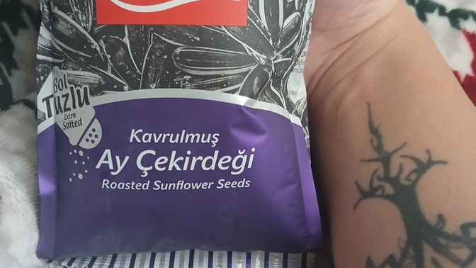 Çekirdek sever misiniz?