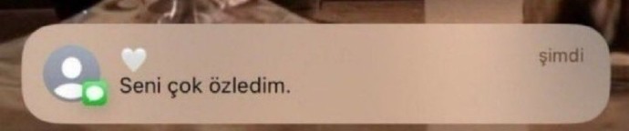 Şöyle bir mesaj gelse tepkiniz ne olurdu?