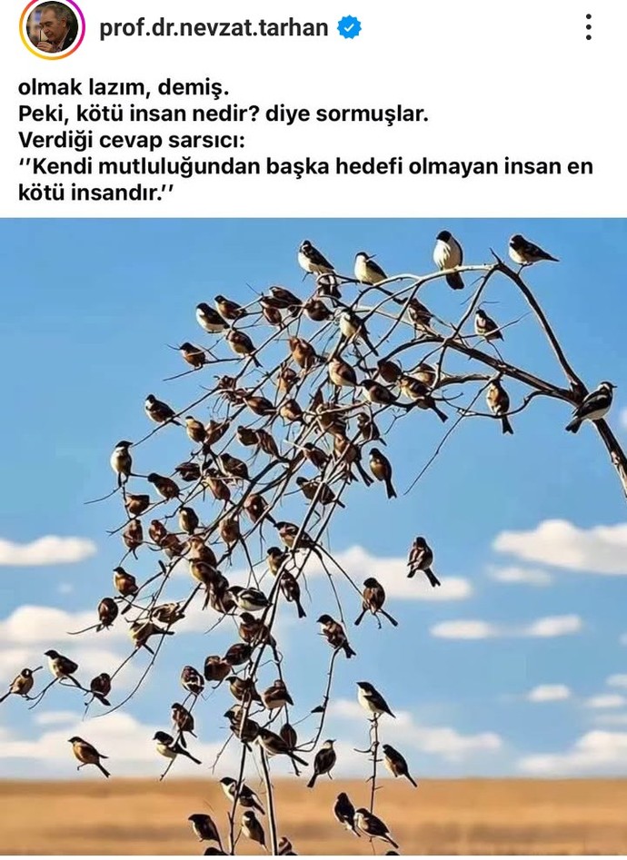 Sizce  kötü insan  tanımı nedir?